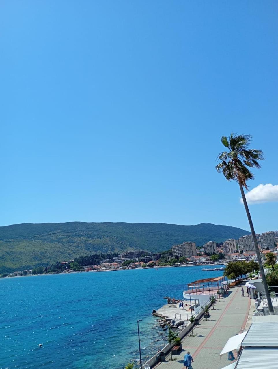 Cebra Herceg Novi